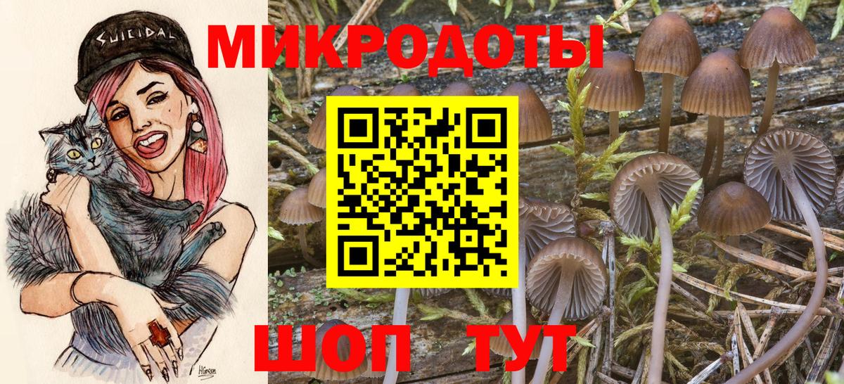 Псилоцибиновые грибы Cubensis  Вход с VPN  Галлюциногенные грибы прущие грибы  Оренбург 